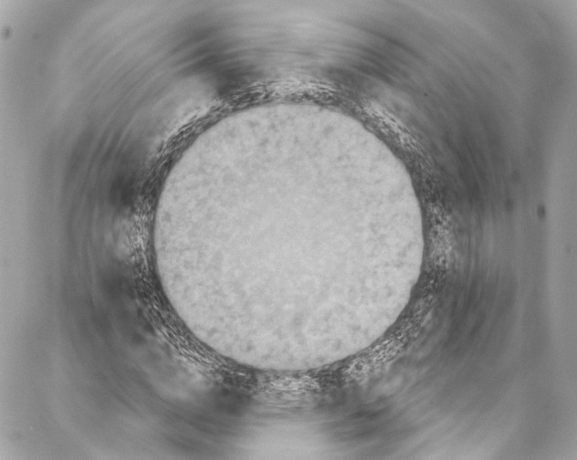 X0000086950824200705071441