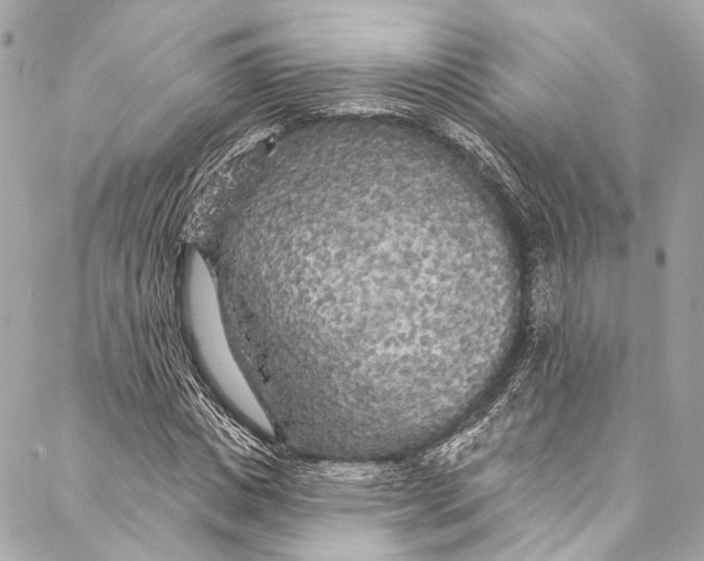 X0000086950825200705071441