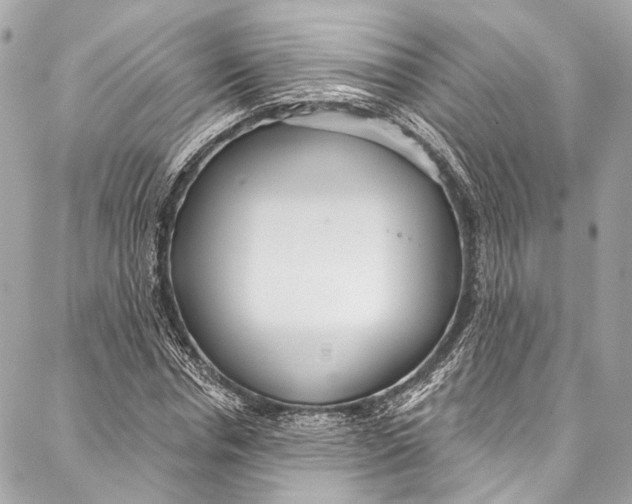 X0000086950826200705071441