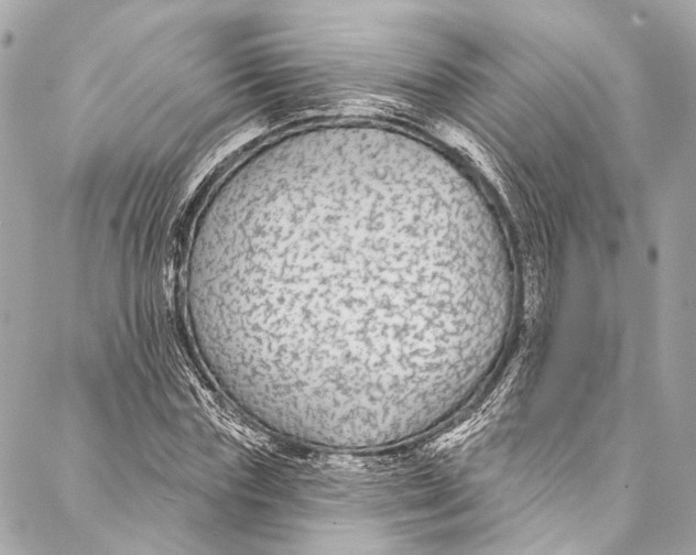 X0000086950827200705071441