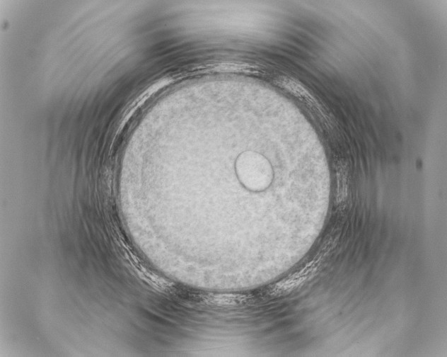 X0000086950828200705071441