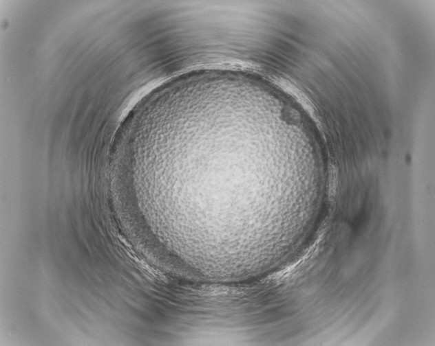 X0000086950829200705071441