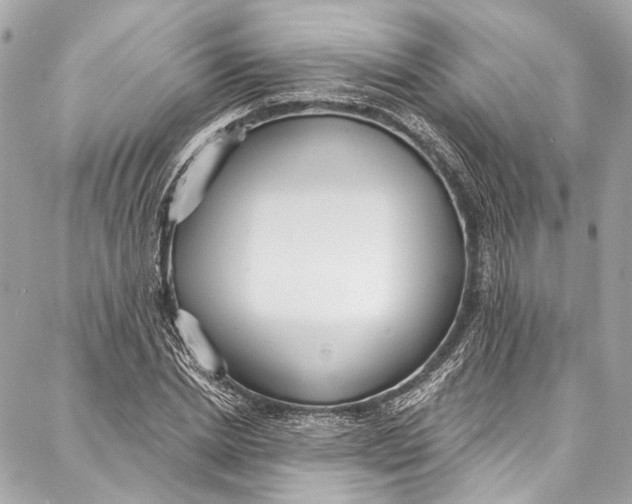 X0000086950830200705071441