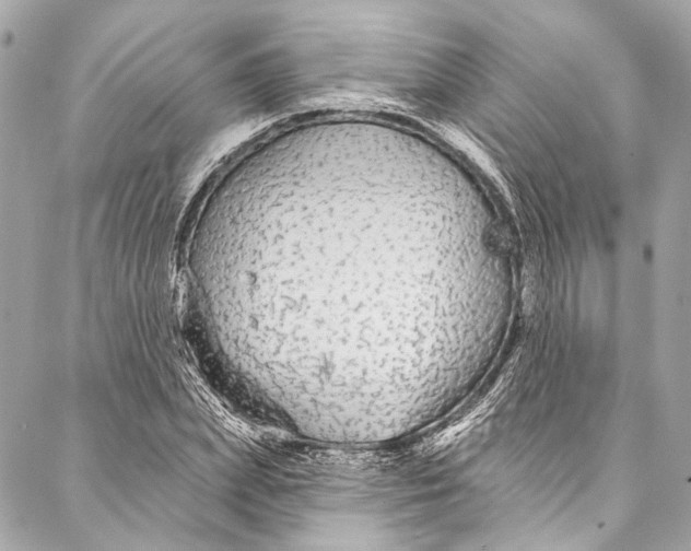 X0000086950831200705071441