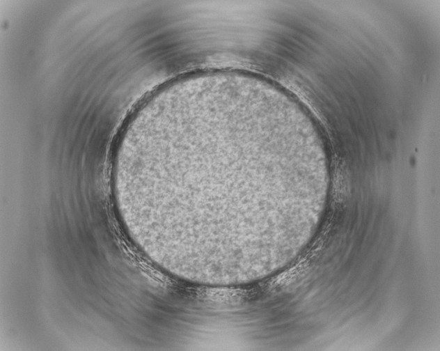 X0000086950832200705071441