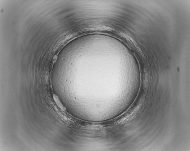 X0000086950833200705071441