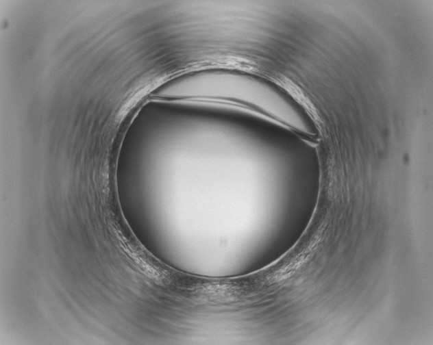 X0000086950834200705071441