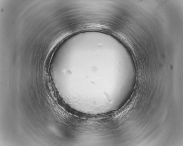 X0000086950835200705071441