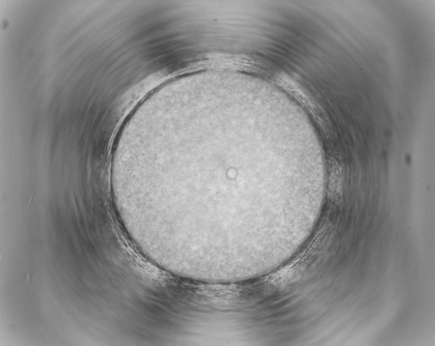 X0000086950836200705071441