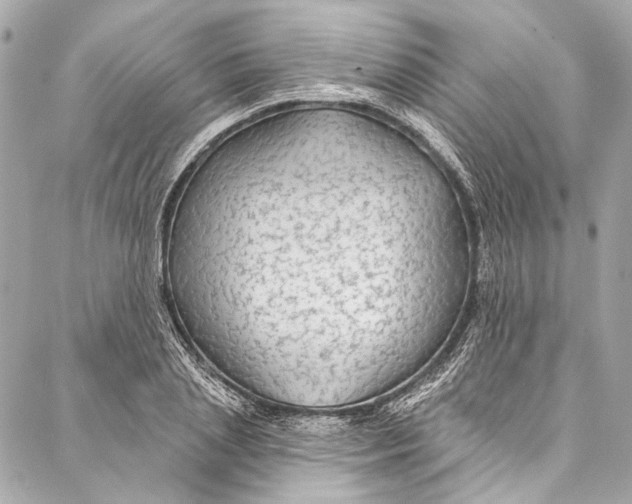 X0000086950837200705071441