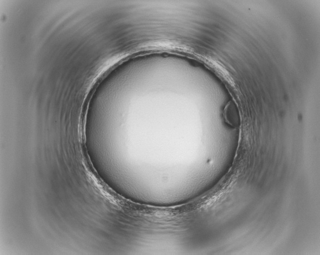 X0000086950839200705071441