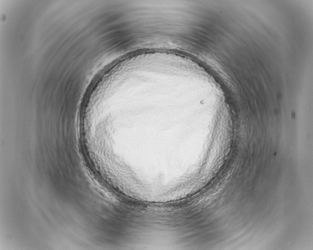 X0000086950840200705071441