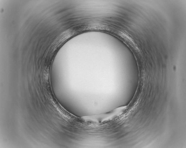 X0000086950841200705071441