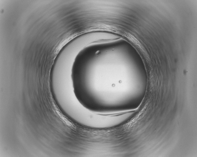 X0000086950842200705071441