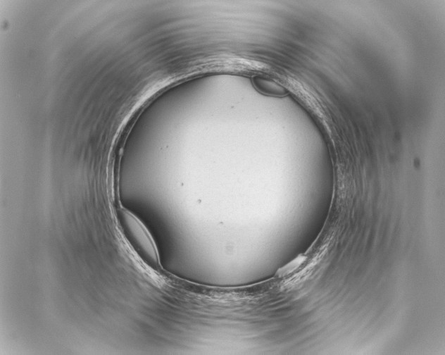 X0000086950843200705071441