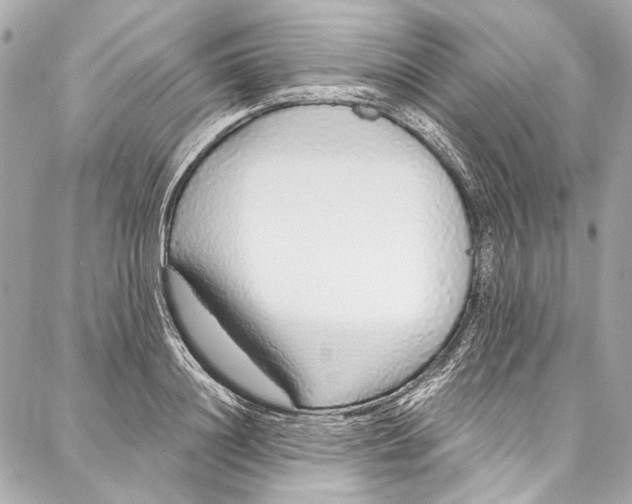 X0000086950844200705071441