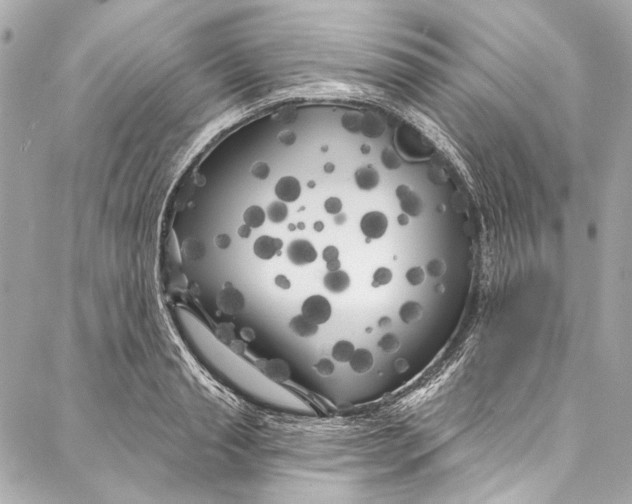 X0000086950845200705071441