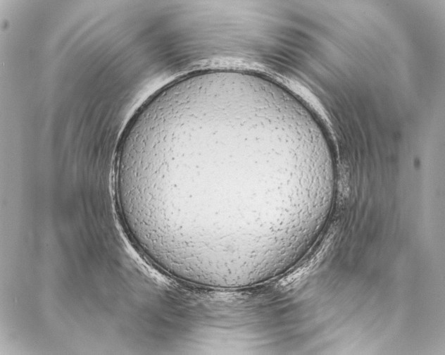 X0000086950847200705071441