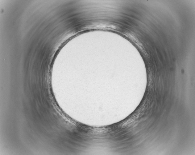 X0000086950848200705071441