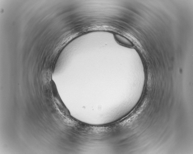 X0000086950849200705071441