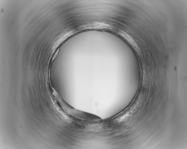 X0000086950850200705071441