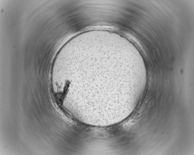 X0000086950852200705071441