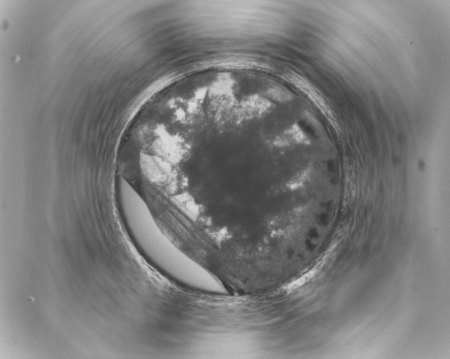 X0000086950853200705071441