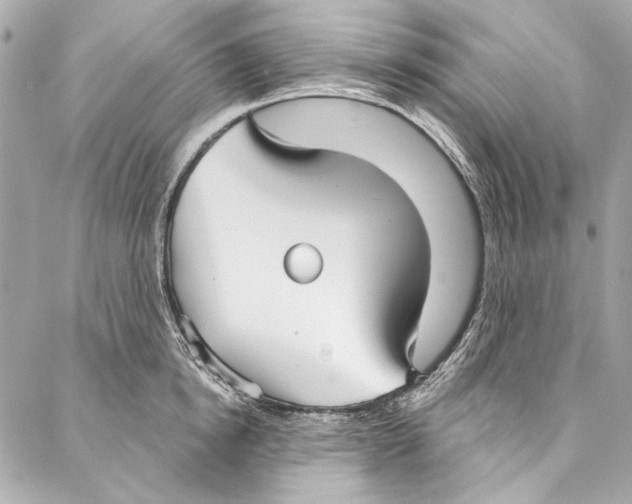 X0000086950854200705071441