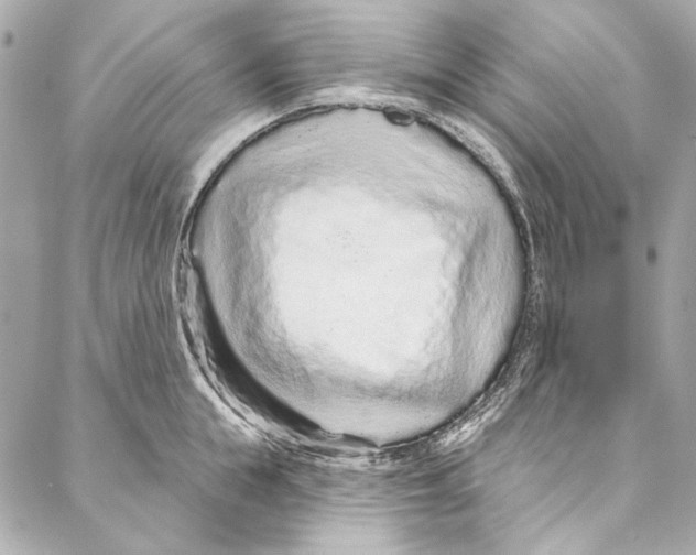 X0000086950855200705071441