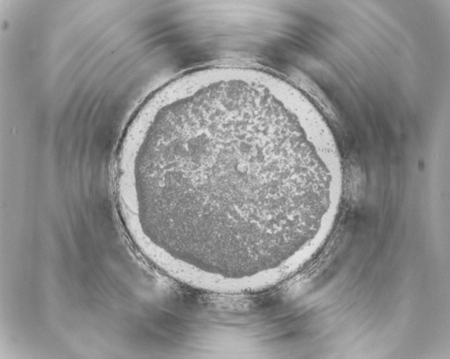 X0000086950856200705071441