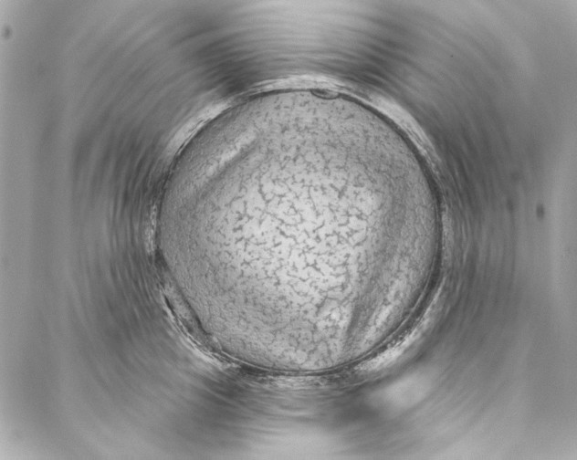 X0000086950857200705071441