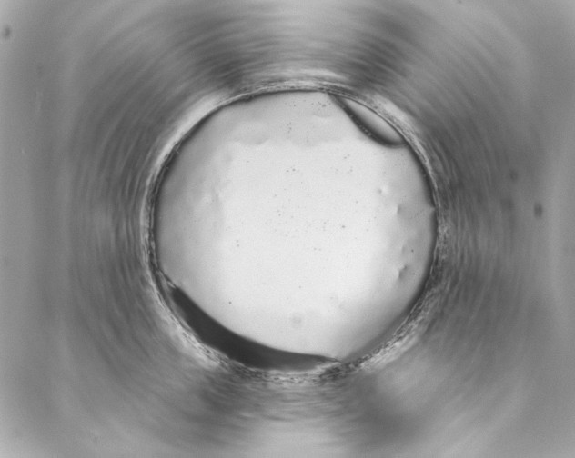 X0000086950859200705071441