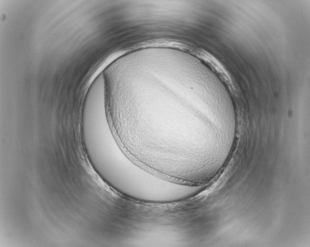 X0000086950860200705071441