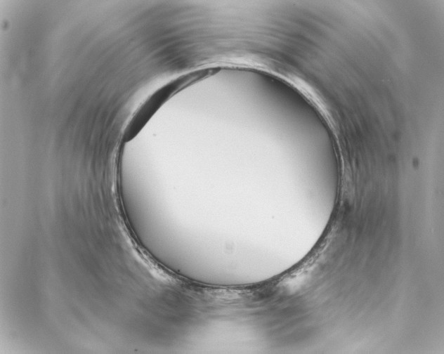 X0000086950862200705071441