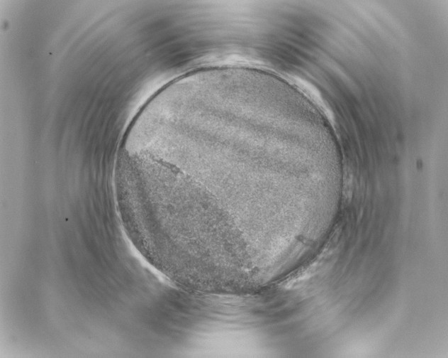 X0000086950863200705071441