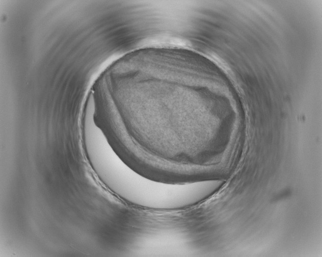 X0000086950864200705071441