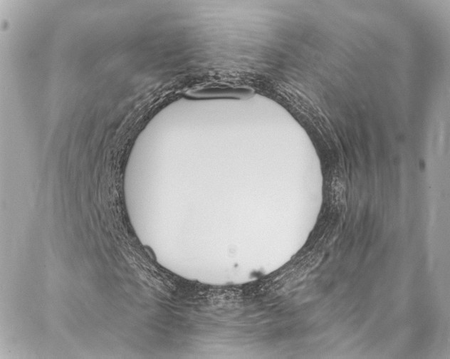 X0000086950865200705071441