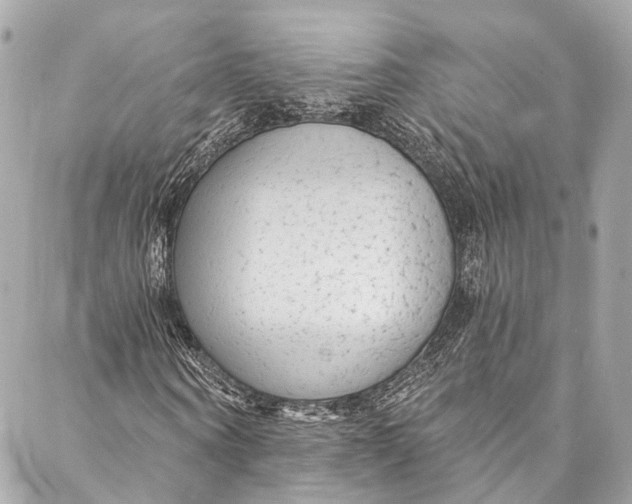 X0000086950866200705071441