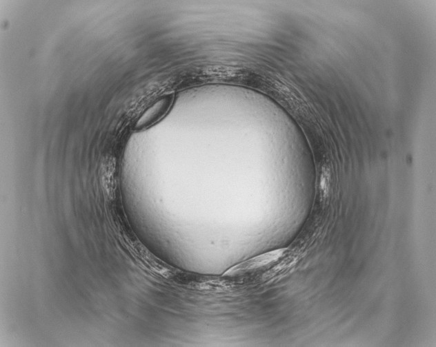 X0000086950867200705071441