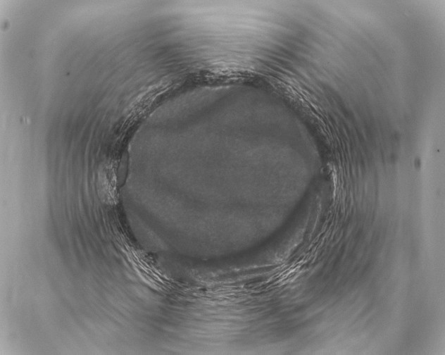 X0000086950868200705071440