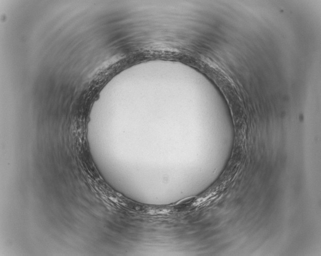 X0000086950870200705071440