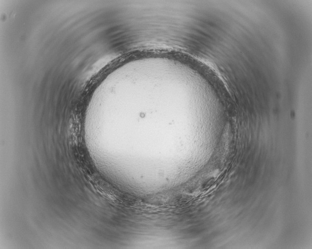 X0000086950871200705071440