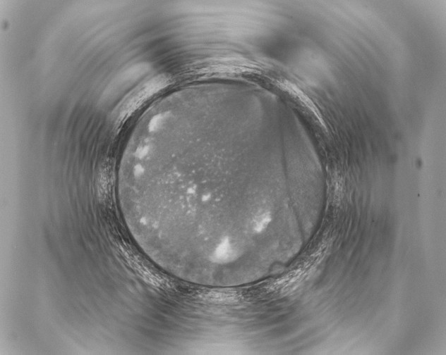 X0000086950874200705071440