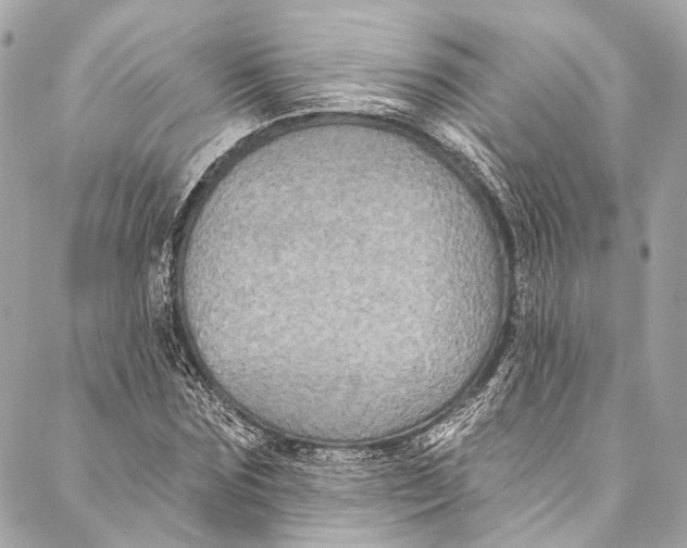 X0000086950875200705071440