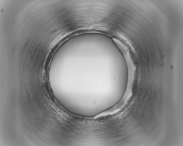 X0000086950876200705071440