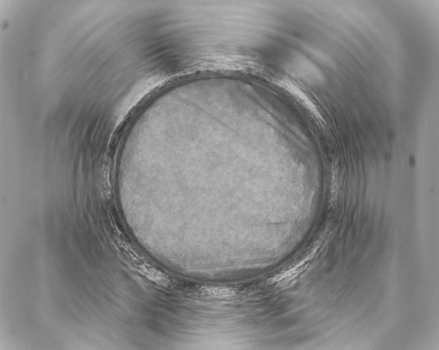 X0000086950878200705071440