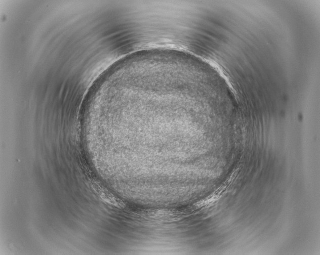 X0000086950879200705071440