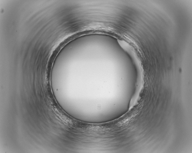 X0000086950880200705071440