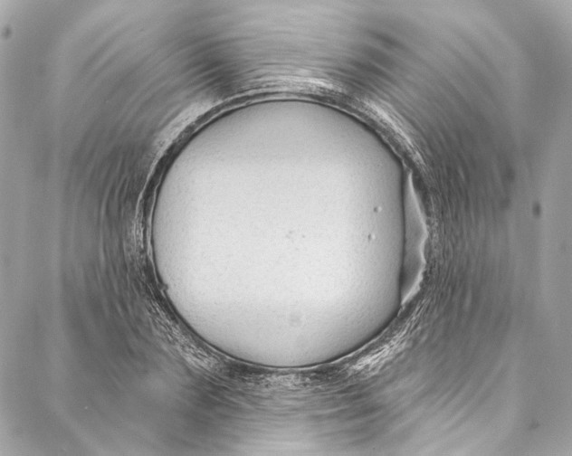 X0000086950883200705071440