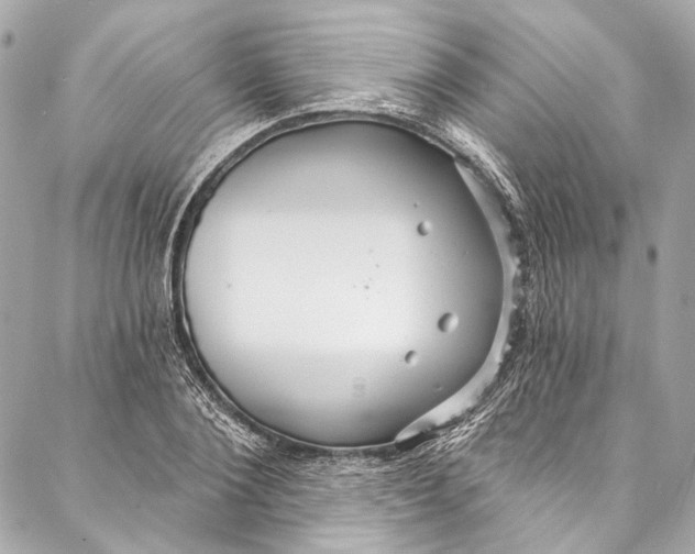 X0000086950884200705071440